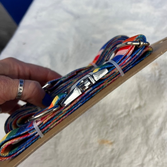 NWT🤩 |•DESIGN•| Rainbow Multicolor Colorful Leash/Lead & Collar Size L/XL - Picture 3 of 7